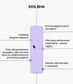 MANO Salicilo rūgšties serumas Lokaliai spuogų kontrolei SOS.BHA, 30 ml Veidui 8