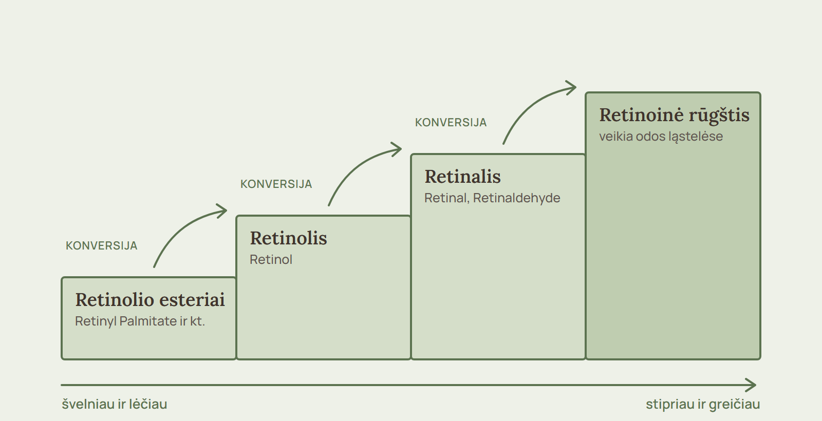 Retinoidų laipteliai: retinolio esteriai, retinolis, retinalis ir retinoinė rūgštis – nuo švelniausio iki stipriausio